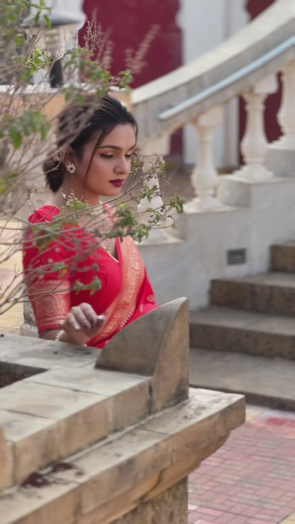 Sonakshi Wedding saree